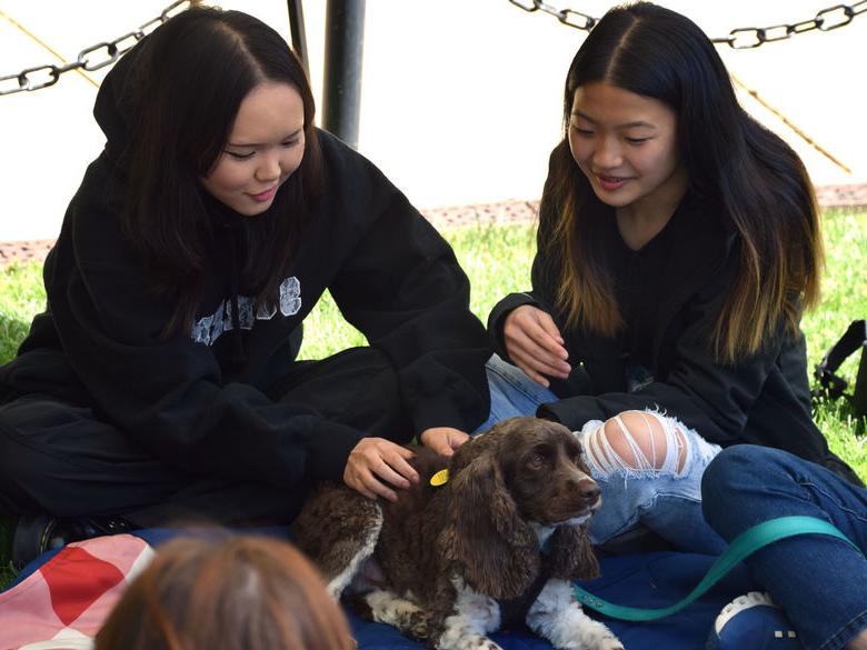 two students petting a therapy dog at Penn State Abington (near Philadelphia)